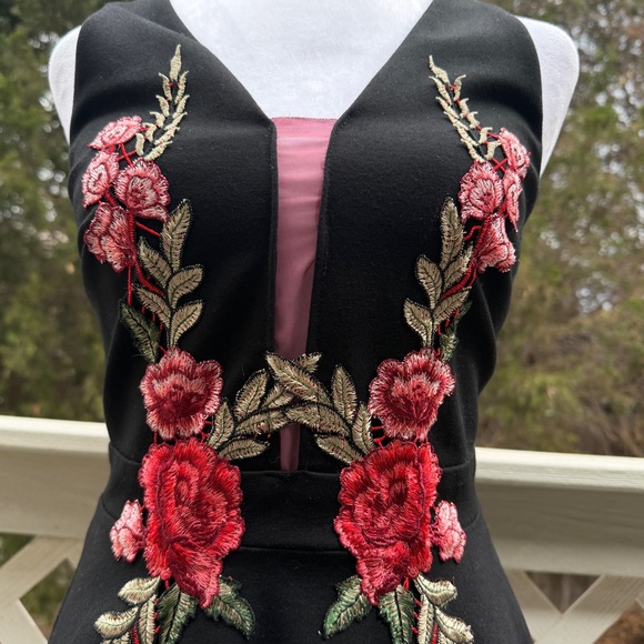 Mystic LA Romantic Roses Black Embroidered Skater Dress Small Plunge Neck Goth - Picture 7 of 11